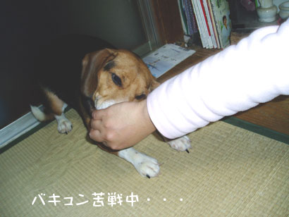 06120602.jpg