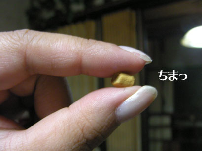 07071101.jpg