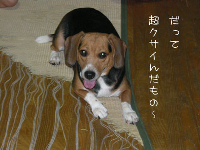 07091401.jpg