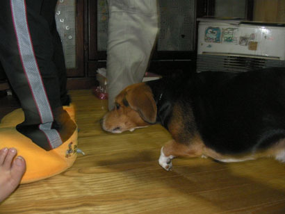 07120601.jpg
