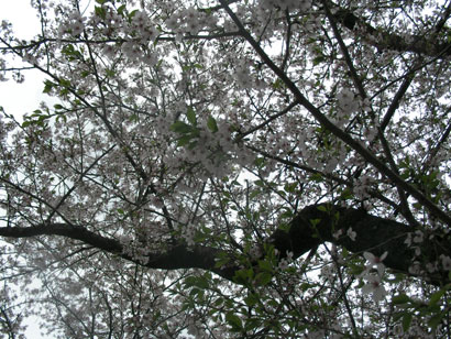 08041306.jpg
