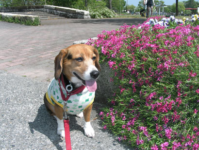 08050404.jpg